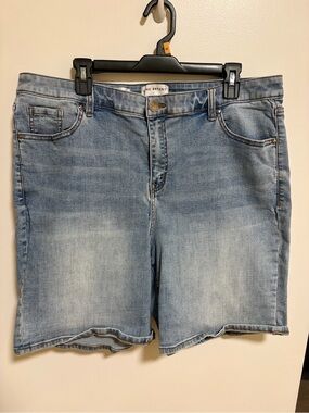 Lane Bryant Light Blue Denim Jean Shorts